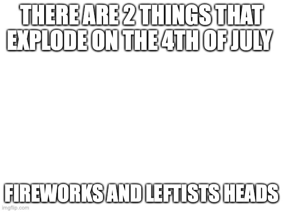 Blank White Template | THERE ARE 2 THINGS THAT EXPLODE ON THE 4TH OF JULY; FIREWORKS AND LEFTISTS HEADS | image tagged in blank white template | made w/ Imgflip meme maker