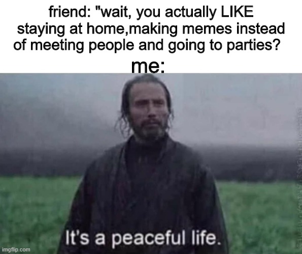 yeet | friend: "wait, you actually LIKE staying at home,making memes instead of meeting people and going to parties? me: | image tagged in it's a peaceful life | made w/ Imgflip meme maker