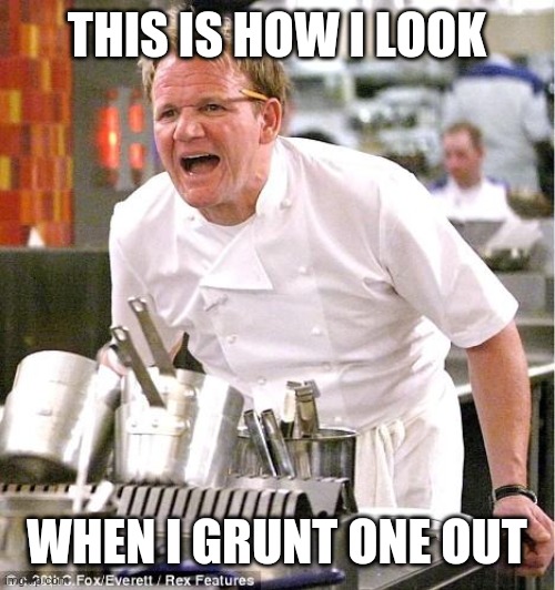 Chef Gordon Ramsay | THIS IS HOW I LOOK; WHEN I GRUNT ONE OUT | image tagged in memes,chef gordon ramsay | made w/ Imgflip meme maker