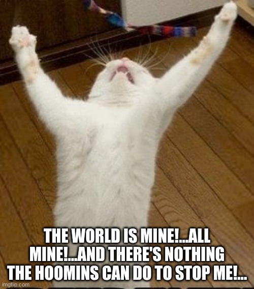 The World is Mine!... | THE WORLD IS MINE!...ALL MINE!...AND THERE'S NOTHING THE HOOMINS CAN DO TO STOP ME!... | image tagged in cats,evil mastermind kitties,funny cats | made w/ Imgflip meme maker