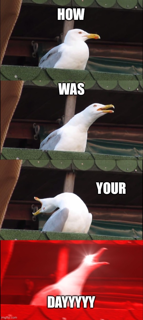 Inhaling Seagull | HOW; WAS; YOUR; DAYYYYY | image tagged in memes,inhaling seagull | made w/ Imgflip meme maker