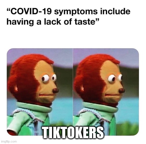 TIKTOKERS | image tagged in covid lack of taste | made w/ Imgflip meme maker