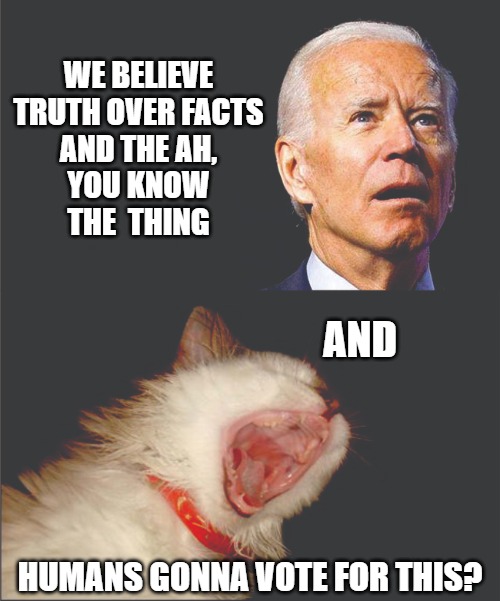 Truth vs Facts |  WE BELIEVE
TRUTH OVER FACTS
AND THE AH,
YOU KNOW
THE  THING; AND; HUMANS GONNA VOTE FOR THIS? | image tagged in cats,politics,memes,fun,funny | made w/ Imgflip meme maker