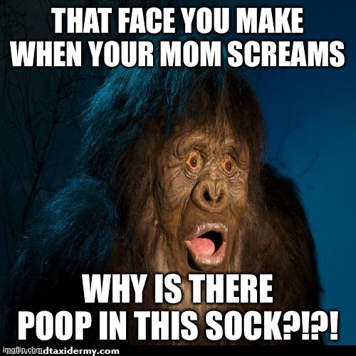 Big foot | THAT FACE YOU MAKE WHEN YOUR MOM SCREAMS; WHY IS THERE POOP IN THIS SOCK?!?! | image tagged in big foot | made w/ Imgflip meme maker