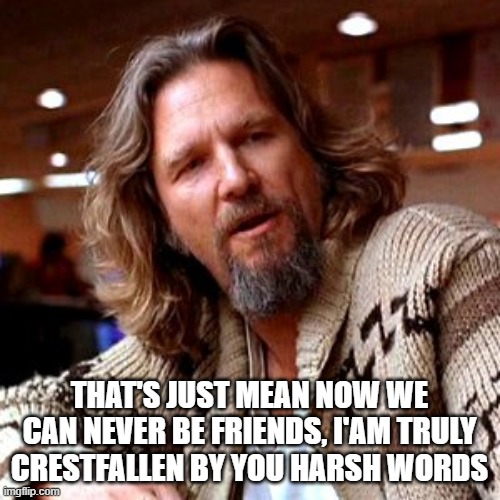 Confused Lebowski Meme | THAT'S JUST MEAN NOW WE CAN NEVER BE FRIENDS, I'AM TRULY CRESTFALLEN BY YOU HARSH WORDS | image tagged in memes,confused lebowski | made w/ Imgflip meme maker