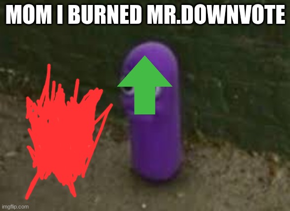 downvote sucks | MOM I BURNED MR.DOWNVOTE | image tagged in beanos | made w/ Imgflip meme maker