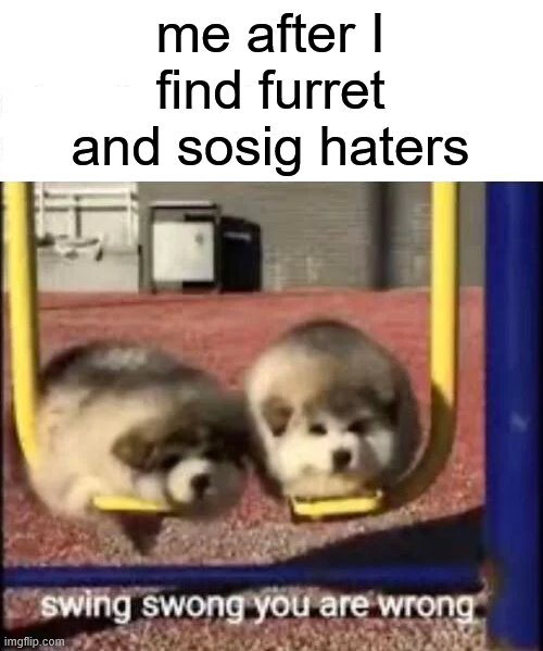 SWING SWONG YOU ARE WRONG | me after I find furret and sosig haters | image tagged in i'm 15 so don't try it,who reads these | made w/ Imgflip meme maker