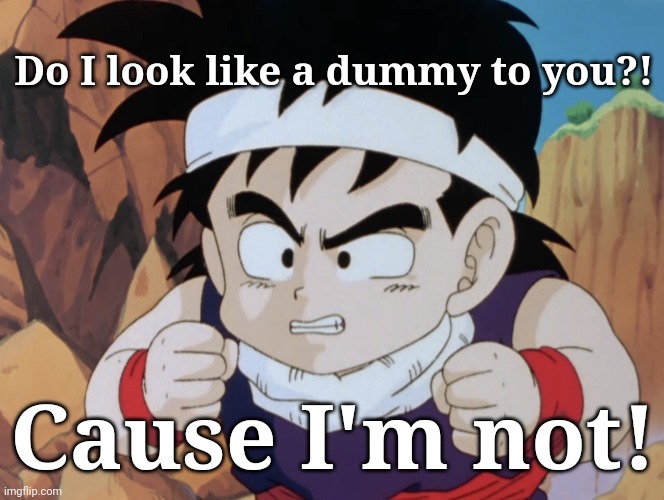 New Gohan Template!! (For everyone!) | Do I look like a dummy to you?! Cause I'm not! | image tagged in gohan do i look like dbz,memes,for dummies,funny,gohan,dragon ball z | made w/ Imgflip meme maker