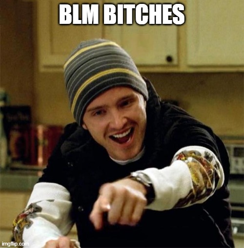 Jesse Pinkman | BLM BITCHES | image tagged in jesse pinkman | made w/ Imgflip meme maker