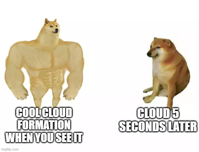 I like looking at clouds | CLOUD 5 SECONDS LATER; COOL CLOUD FORMATION WHEN YOU SEE IT | image tagged in buff doge vs cheems | made w/ Imgflip meme maker