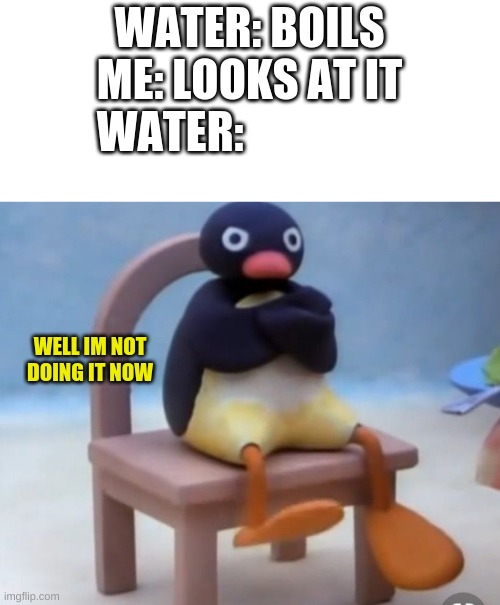 Angry pingu | WATER: BOILS
ME: LOOKS AT IT
WATER:; WELL IM NOT DOING IT NOW | image tagged in angry pingu | made w/ Imgflip meme maker