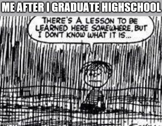 There's a lesson to be learned here somewhere | ME AFTER I GRADUATE HIGHSCHOOL | image tagged in there's a lesson to be learned here somewhere,i'm 15 so don't try it,who reads these | made w/ Imgflip meme maker