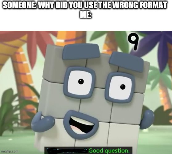 Good question | SOMEONE: WHY DID YOU USE THE WRONG FORMAT 
ME: | image tagged in new format | made w/ Imgflip meme maker