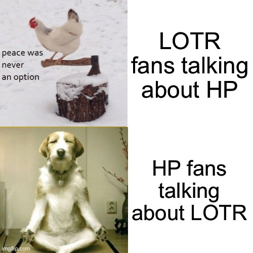Sorry, LOTR fans XD I like both not just trolling this stream I made |  LOTR fans talking about HP; HP fans talking about LOTR | image tagged in lord of the rings,harry potter,peace was never an option,inner peace dog | made w/ Imgflip meme maker