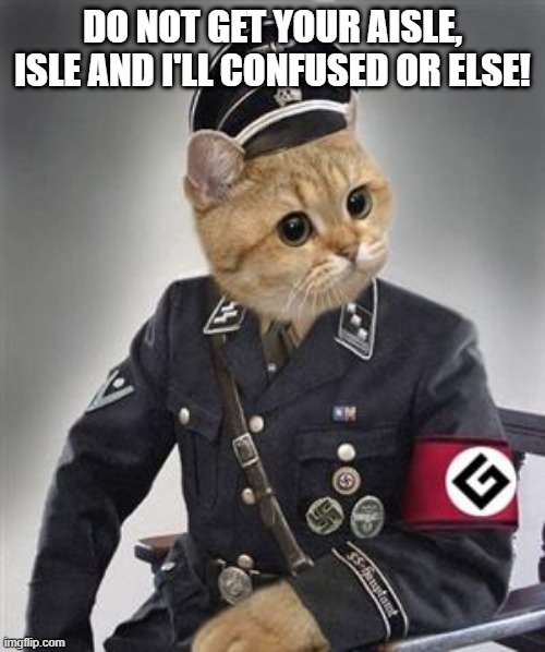 Grammar Nazi Cat | DO NOT GET YOUR AISLE, ISLE AND I'LL CONFUSED OR ELSE! | image tagged in grammar nazi cat,cats,funny cat memes,cat memes,cat meme,grammar nazi | made w/ Imgflip meme maker