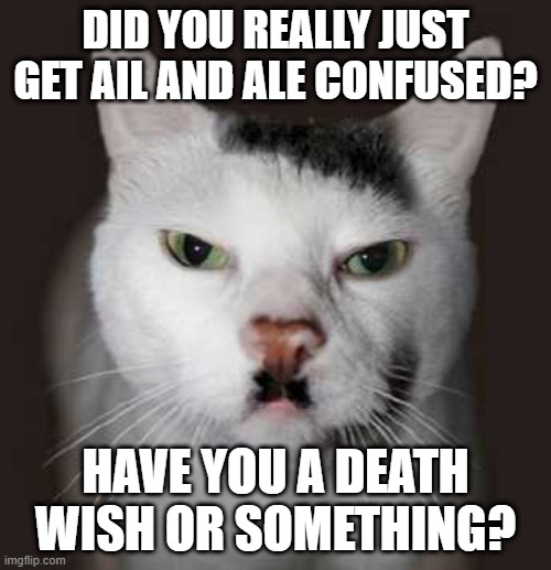 Nazi Cat | DID YOU REALLY JUST GET AIL AND ALE CONFUSED? HAVE YOU A DEATH WISH OR SOMETHING? | image tagged in nazi cat,grammar nazi cat,cat meme,grammar nazi,cat memes,funny cat memes | made w/ Imgflip meme maker
