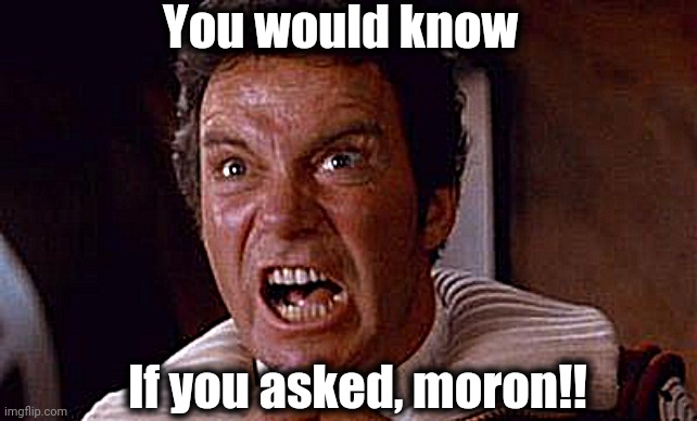 khan | You would know If you asked, moron!! | image tagged in khan | made w/ Imgflip meme maker