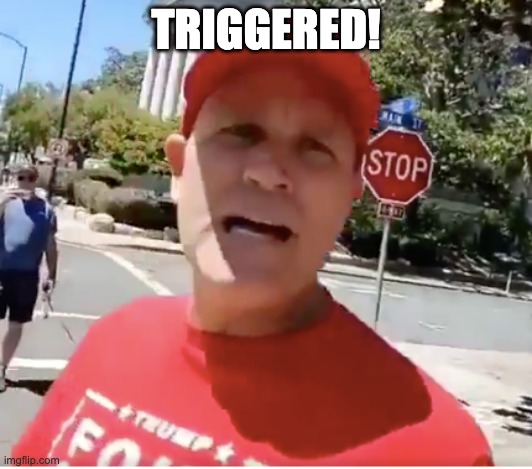 triggered | TRIGGERED! | image tagged in triggered,triggered trumper,maga,trump supporters | made w/ Imgflip meme maker