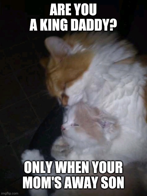 Zeus | ARE YOU A KING DADDY? ONLY WHEN YOUR MOM'S AWAY SON | image tagged in zeus | made w/ Imgflip meme maker