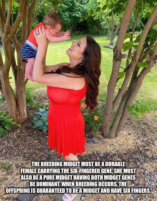 THE BREEDING MIDGET MUST BE A DURABLE FEMALE CARRYING THE SIX-FINGERED GENE. SHE MUST ALSO BE A PURE MIDGET HAVING BOTH MIDGET GENES BE DOMINANT. WHEN BREEDING OCCURS, THE OFFSPRING IS GUARANTEED TO BE A MIDGET AND HAVE SIX FINGERS. | image tagged in emily amaya laveau | made w/ Imgflip meme maker