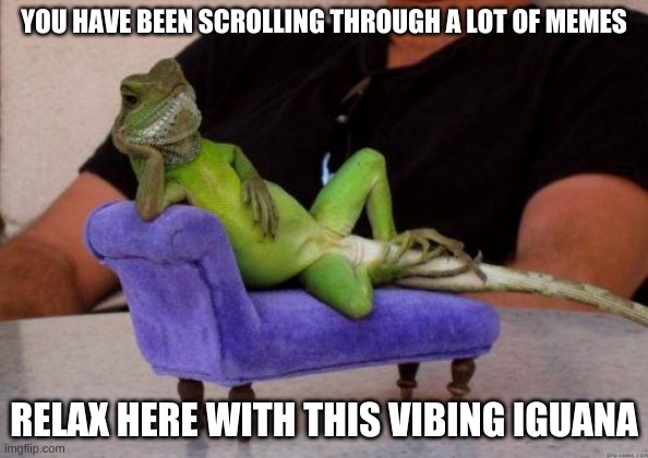 Sassy Iguana |  YOU HAVE BEEN SCROLLING THROUGH A LOT OF MEMES; RELAX HERE WITH THIS VIBING IGUANA | image tagged in memes,sassy iguana | made w/ Imgflip meme maker