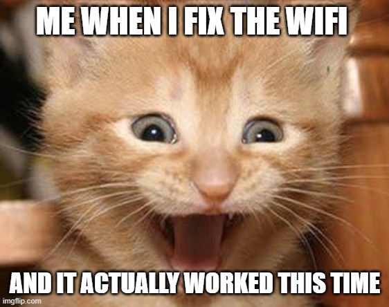 Excited Cat | ME WHEN I FIX THE WIFI; AND IT ACTUALLY WORKED THIS TIME | image tagged in memes,excited cat | made w/ Imgflip meme maker