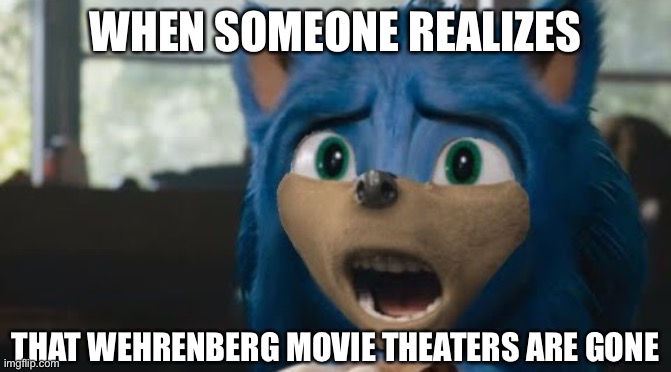 Sonic Monstrocity Wehrenberg | WHEN SOMEONE REALIZES; THAT WEHRENBERG MOVIE THEATERS ARE GONE | image tagged in sonic trash thing | made w/ Imgflip meme maker