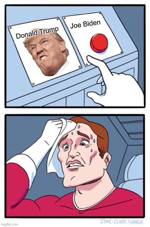 We have to vote for someone! | Joe Biden; Donald Trump | image tagged in memes,two buttons,donald trump,politics,political meme,funny | made w/ Imgflip meme maker