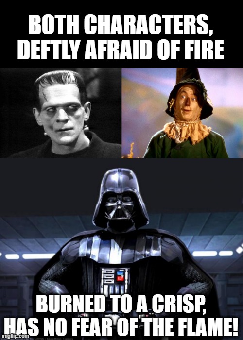 The Force WAS Strong With Him | BOTH CHARACTERS, DEFTLY AFRAID OF FIRE; BURNED TO A CRISP, HAS NO FEAR OF THE FLAME! | image tagged in darth vader,frankenstein,wizard of oz scarecrow | made w/ Imgflip meme maker