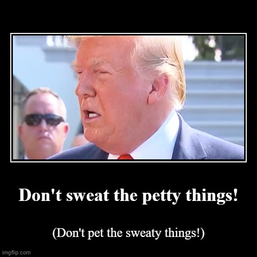 image tagged in funny,demotivationals,trump,sweaty,pet,petty | made w/ Imgflip demotivational maker