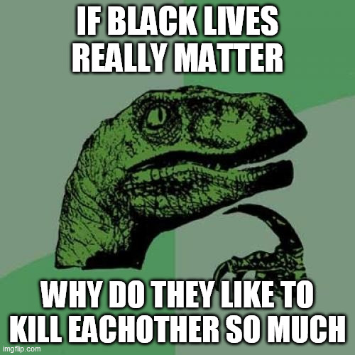 Philosoraptor | IF BLACK LIVES REALLY MATTER; WHY DO THEY LIKE TO KILL EACHOTHER SO MUCH | image tagged in memes,philosoraptor | made w/ Imgflip meme maker