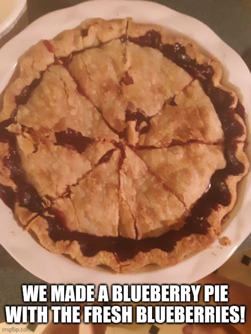 WE MADE A BLUEBERRY PIE WITH THE FRESH BLUEBERRIES! | made w/ Imgflip meme maker
