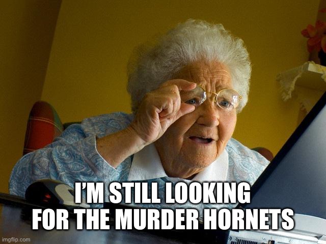 Grandma Finds The Internet Meme | I’M STILL LOOKING FOR THE MURDER HORNETS | image tagged in memes,grandma finds the internet | made w/ Imgflip meme maker