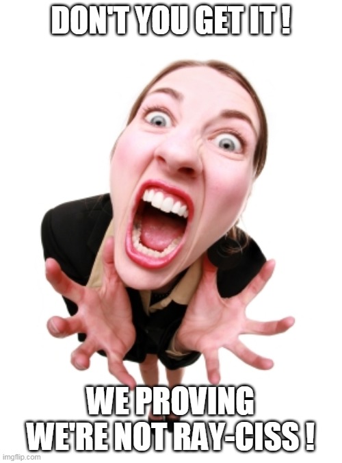 Screaming woman | DON'T YOU GET IT ! WE PROVING WE'RE NOT RAY-CISS ! | image tagged in screaming woman | made w/ Imgflip meme maker