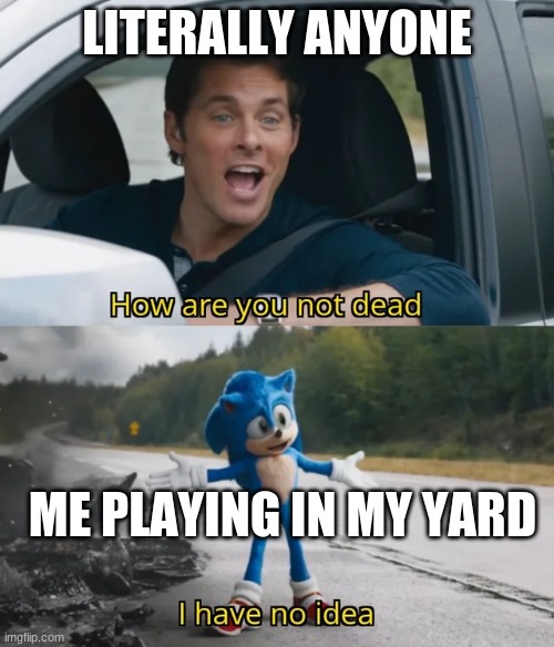 lol | LITERALLY ANYONE; ME PLAYING IN MY YARD | image tagged in sonic i have no idea | made w/ Imgflip meme maker