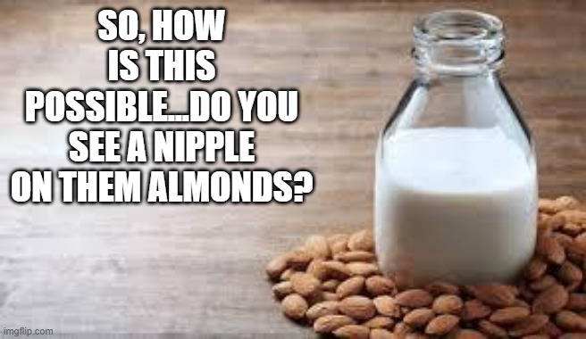I Have Nipples Greg, Can You Milk Me? | SO, HOW IS THIS POSSIBLE...DO YOU SEE A NIPPLE ON THEM ALMONDS? | image tagged in almond milk | made w/ Imgflip meme maker