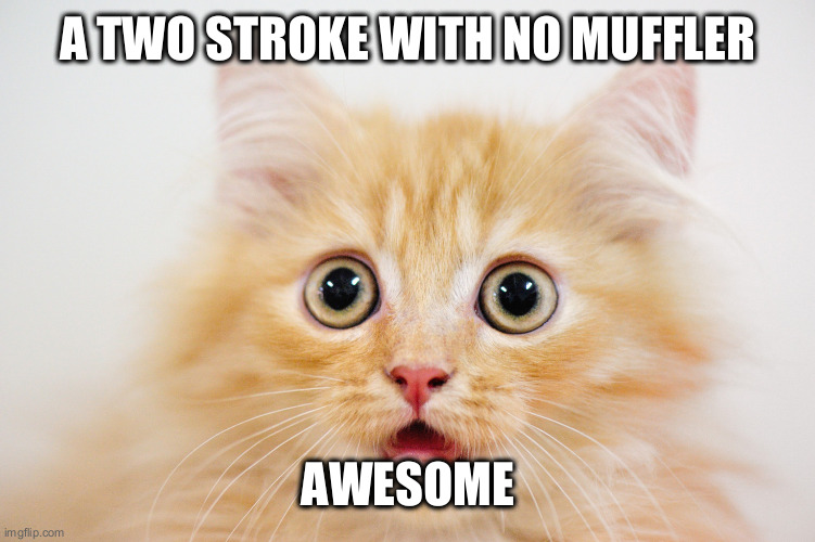 microdroplets | A TWO STROKE WITH NO MUFFLER AWESOME | image tagged in microdroplets | made w/ Imgflip meme maker