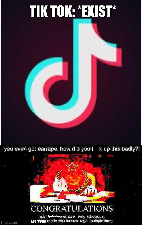 Your application certified as: illegal | TIK TOK: *EXIST*; Application; Everyone; Application | image tagged in tik tok,memes,funny,extreme,knuckles,illegal | made w/ Imgflip meme maker