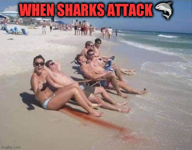 WHEN SHARKS ATTACK 🦈 | image tagged in shark week,jaws,day at the beach | made w/ Imgflip meme maker