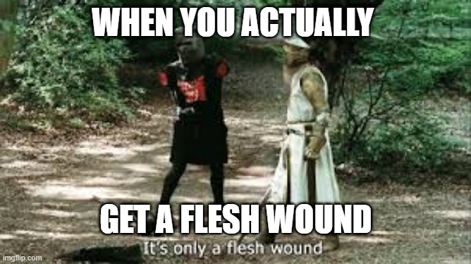 It's Just a Flesh Wound | WHEN YOU ACTUALLY; GET A FLESH WOUND | image tagged in it's just a flesh wound | made w/ Imgflip meme maker