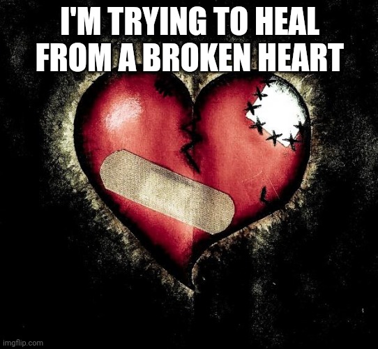 Today Was Heart-Breaking | I'M TRYING TO HEAL FROM A BROKEN HEART | image tagged in broken heart | made w/ Imgflip meme maker
