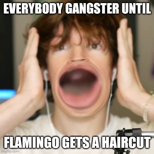 Flamingo surprised | EVERYBODY GANGSTER UNTIL; FLAMINGO GETS A HAIRCUT | image tagged in flamingo surprised | made w/ Imgflip meme maker