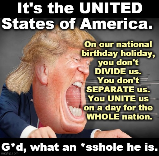 Did you want a president who would break stuff? Congratulations, Trump broke the Fourth of July. | It's the UNITED States of America. On our national 
birthday holiday, 
you don't 
DIVIDE us. 
You don't 
SEPARATE us. 
You UNITE us 
on a day for the 
WHOLE nation. G*d, what an *sshole he is. | image tagged in trump,division,selfishness,hatred,nasty,incompetence | made w/ Imgflip meme maker