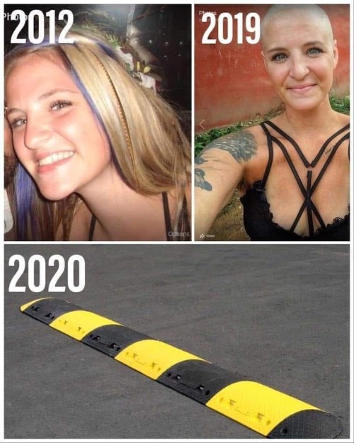 Natural Selection is Alive & Well in Seattle | image tagged in speedbumps,speedbump,antifa,chop chop,natural selection,clueless in seattle | made w/ Imgflip meme maker