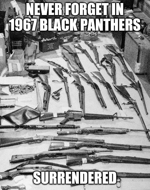 Black panther | NEVER FORGET IN 1967 BLACK PANTHERS; SURRENDERED | image tagged in socialism | made w/ Imgflip meme maker