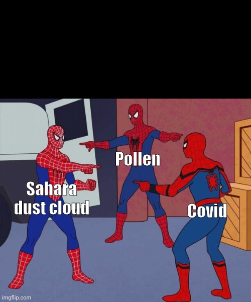 Tickle in throat? Covid or pollen or Sahara dust cloud? | Pollen; Covid; Sahara dust cloud | image tagged in three spiderman | made w/ Imgflip meme maker