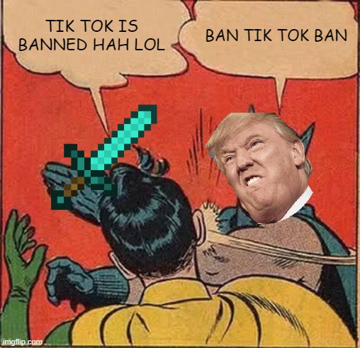 Batman Slapping Robin | TIK TOK IS BANNED HAH LOL; BAN TIK TOK BAN | image tagged in memes,batman slapping robin | made w/ Imgflip meme maker