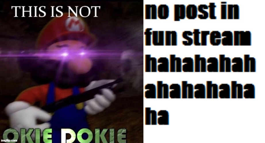 this is not O K I E D O K I E | image tagged in this is not okie dokie | made w/ Imgflip meme maker