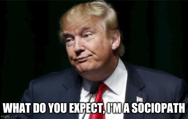What Do You Expect?... | WHAT DO YOU EXPECT, I'M A SOCIOPATH | image tagged in donald trump,sociopath | made w/ Imgflip meme maker
