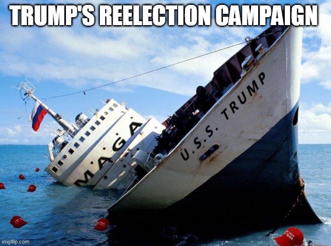 Sad time to be a Trump cult follower | TRUMP'S REELECTION CAMPAIGN | image tagged in donald trump,trump supporters,republicans | made w/ Imgflip meme maker